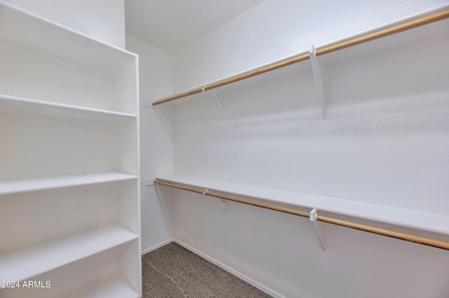 walk in closet featuring carpet flooring