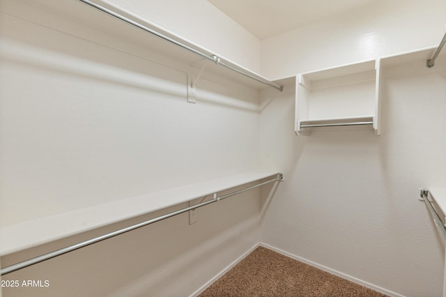 spacious closet featuring carpet floors