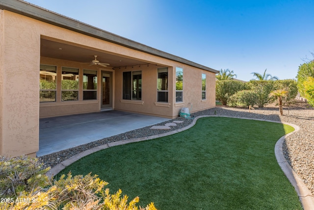 back of house featuring ceiling fan, a patio area, and a lawn