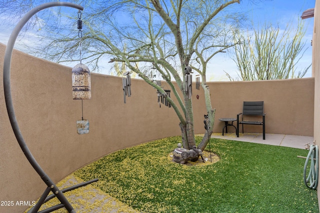 view of yard featuring a patio
