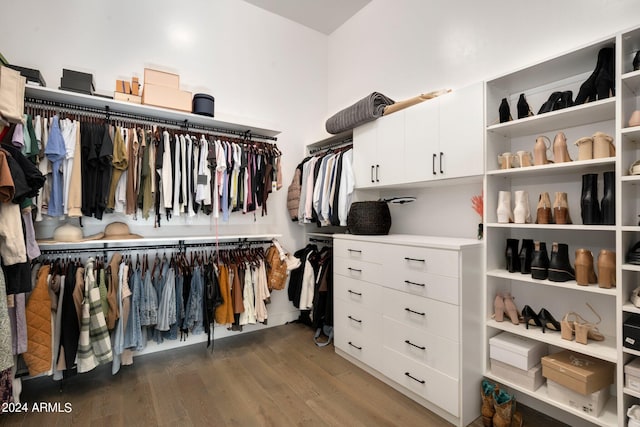 spacious closet featuring dark wood-type flooring