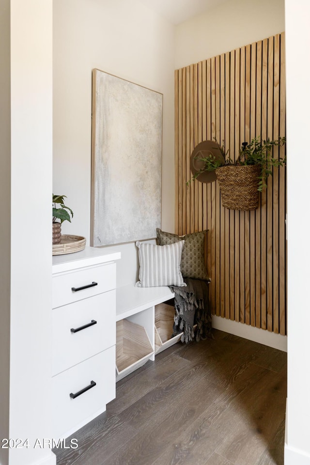 mudroom with dark hardwood / wood-style floors