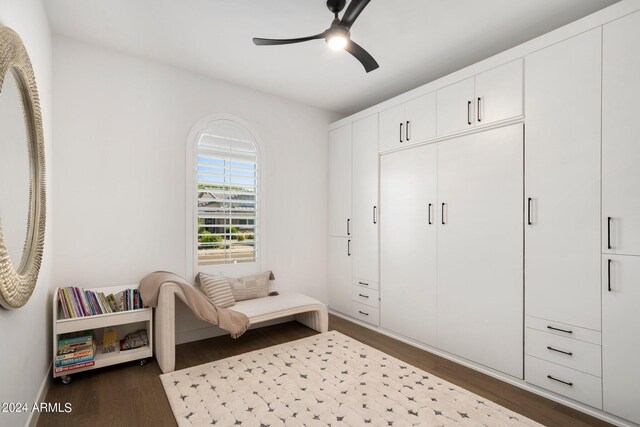 living area featuring ceiling fan and dark wood-type flooring