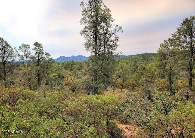 1403 E Underwood Ln Unit 18C, Payson AZ, 85541 land for sale