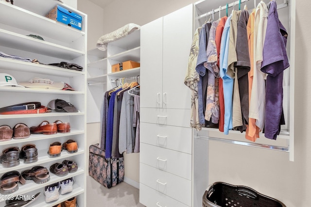 view of walk in closet