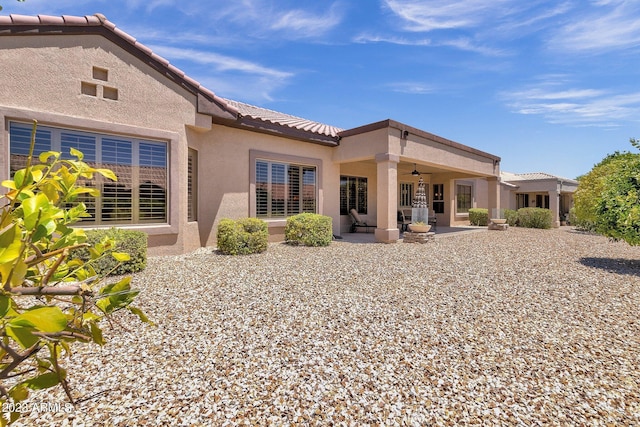 back of house featuring a tile roof, a patio area, ceiling fan, and stucco siding