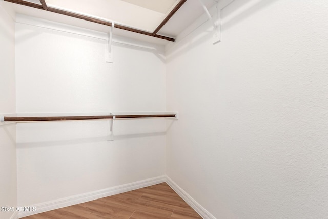 spacious closet featuring wood finished floors