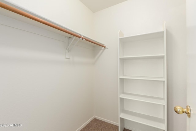 8450 S Stephanie Ln, Tempe, AZ 85284 - walk in closet with carpet floors