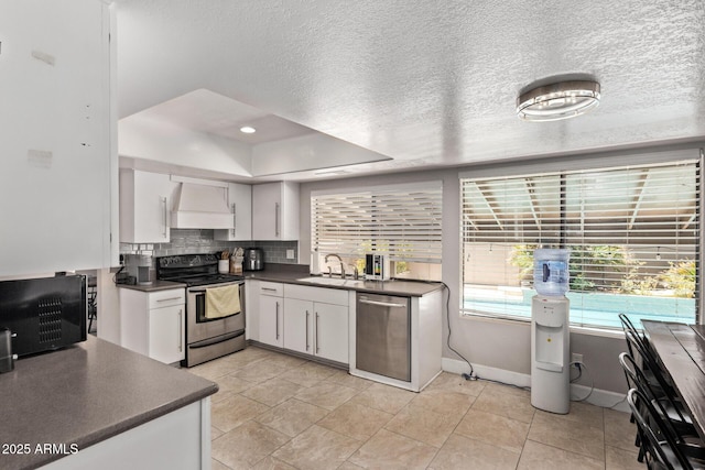 1914 S Brooks Cir, Mesa, AZ 85202 - kitchen featuring stainless steel appliances, premium range hood, dark countertops, a sink, and a tray ceiling