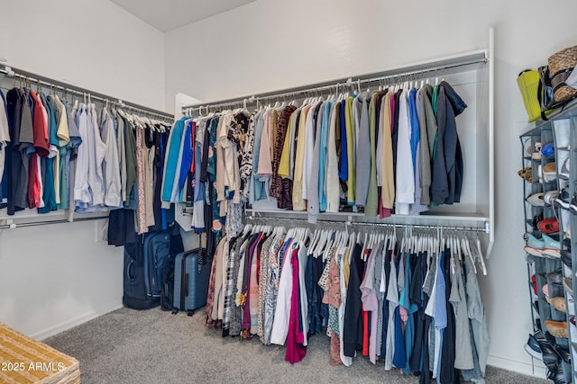 spacious closet with carpet flooring