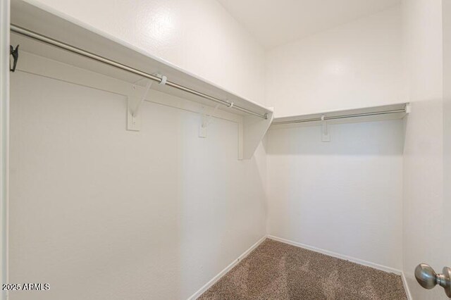1127 E Tyler Ln, Casa Grande, AZ 85122 - spacious closet featuring carpet flooring