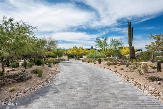 8328 E Whisper Rock Trl, Scottsdale, AZ 85266 - surrounding community featuring decorative driveway