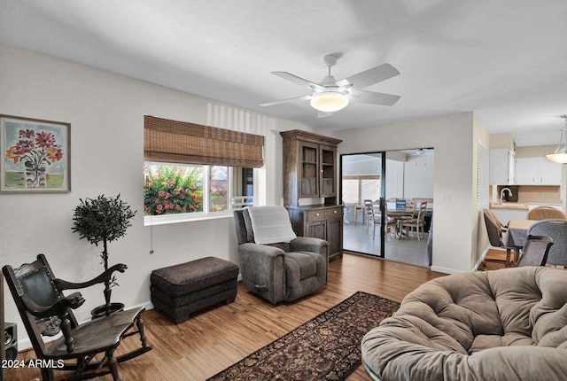 living room featuring light hardwood / wood-style floors, ceiling fan, and sink