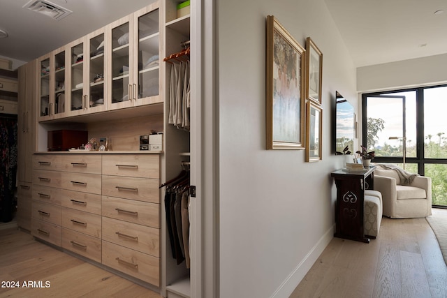 hall featuring plenty of natural light and light hardwood / wood-style flooring