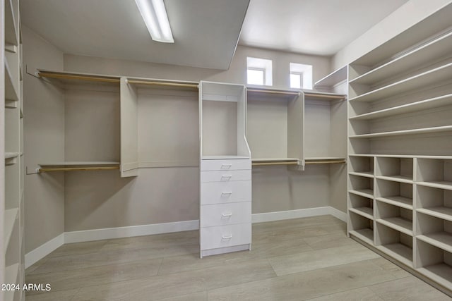 spacious closet with light wood-type flooring