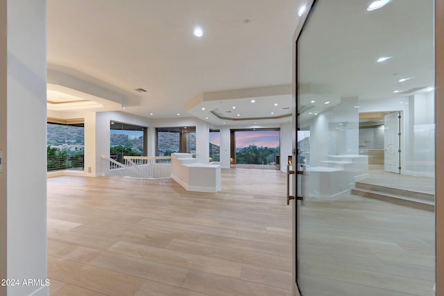 interior space featuring light hardwood / wood-style flooring and a raised ceiling