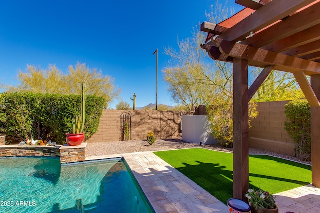 view of pool featuring a fenced backyard, a patio area, and a fenced in pool