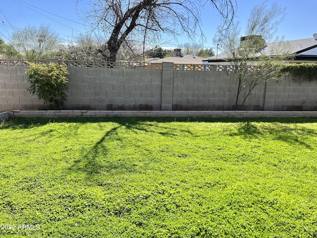 4213 N Westview Dr, Phoenix, AZ 85015 - view of yard