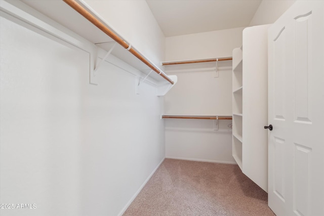 spacious closet featuring carpet floors