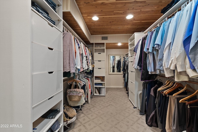 view of spacious closet