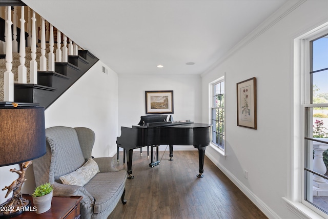 living area featuring dark wood-type flooring and ornamental molding