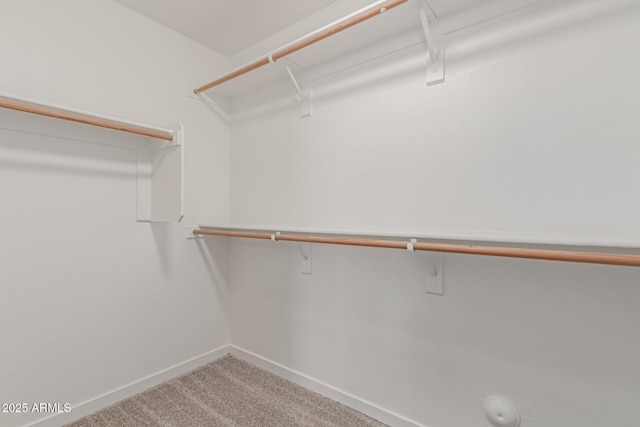 spacious closet with carpet flooring