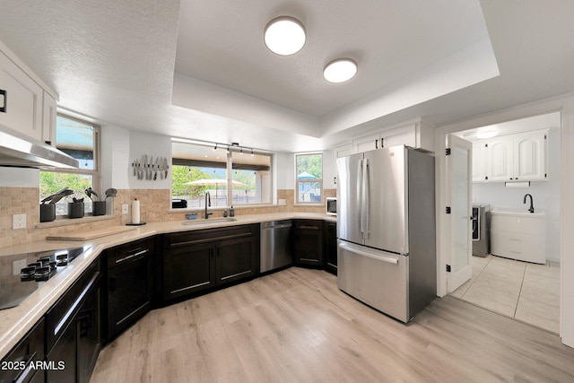 1444 E Myrna Ln, Tempe, AZ 85284 - kitchen with stainless steel appliances, a sink, a raised ceiling, light wood-type flooring, and light countertops