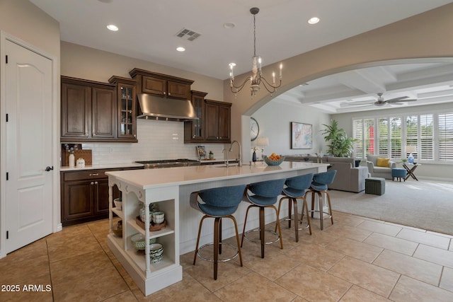 9608 N 184th Ln, Waddell, AZ 85355 - kitchen with arched walkways, under cabinet range hood, open floor plan, recessed lighting, and a sink
