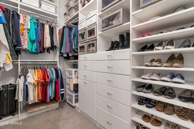 9608 N 184th Ln, Waddell, AZ 85355 - walk in closet with carpet flooring