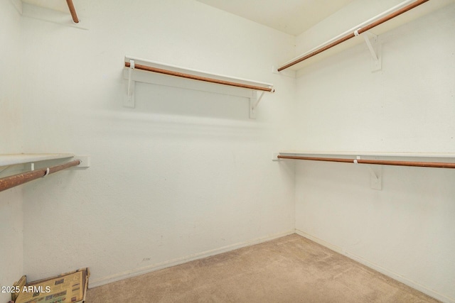 walk in closet featuring light colored carpet