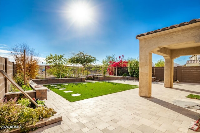 view of yard with a patio