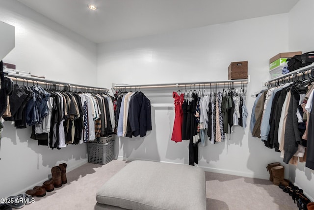 walk in closet featuring carpet floors