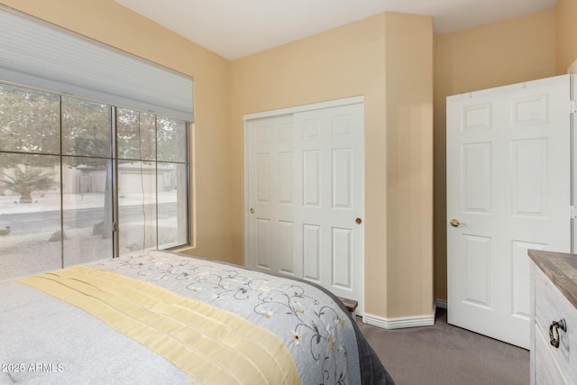 bedroom featuring carpet floors and a closet