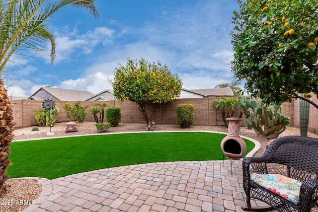 view of yard with a patio