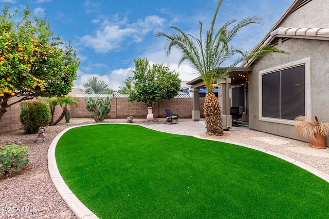 view of yard featuring a patio area