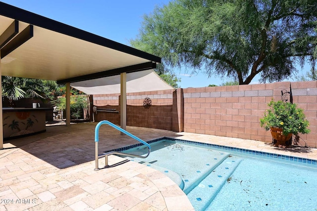 view of swimming pool with a patio