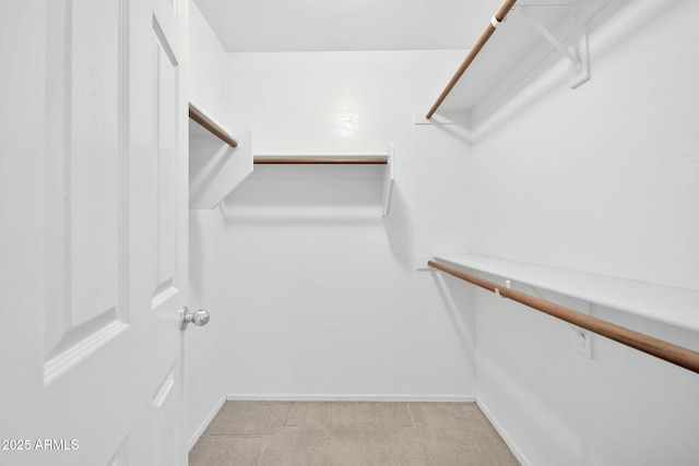 spacious closet featuring light colored carpet