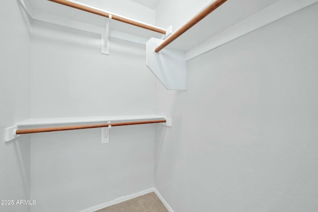 spacious closet with carpet flooring