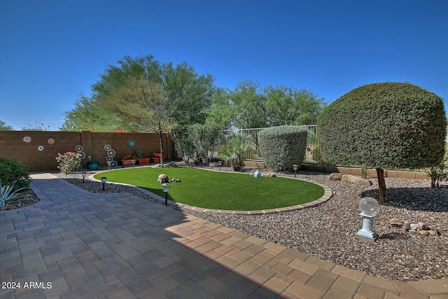 view of yard with a patio area