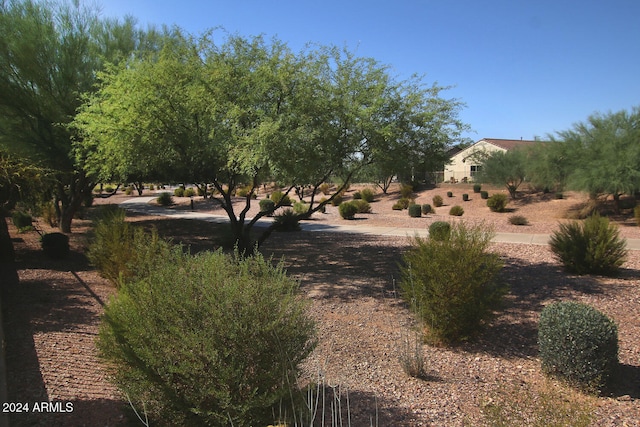 view of yard featuring a rural view