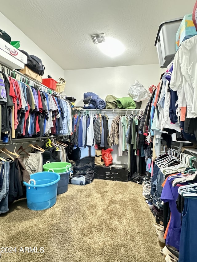 walk in closet featuring carpet floors