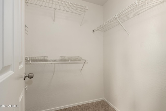 5320 E Silverbell Rd, San Tan Valley, AZ 85143 - walk in closet featuring carpet