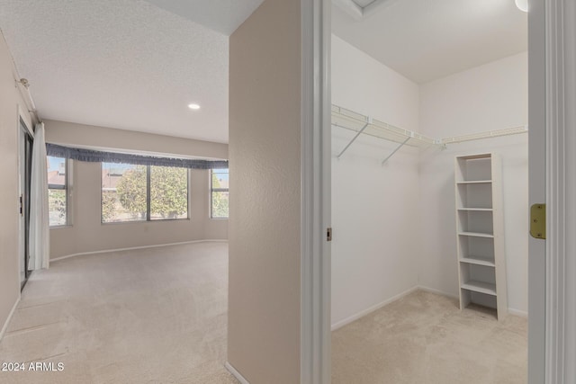 walk in closet with light colored carpet