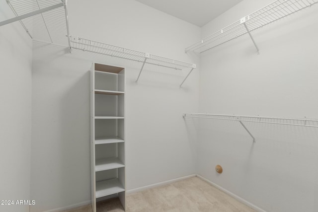 spacious closet with light colored carpet