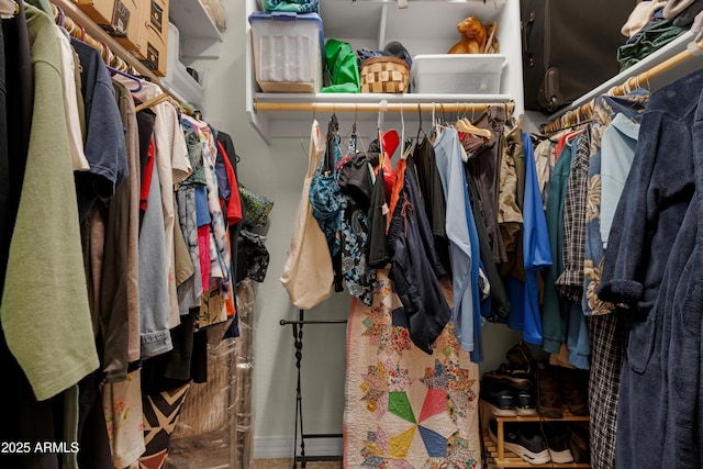 view of walk in closet