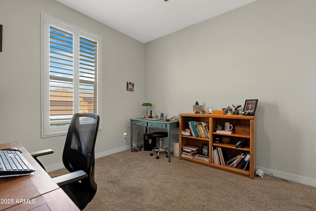 office space featuring carpet floors and baseboards