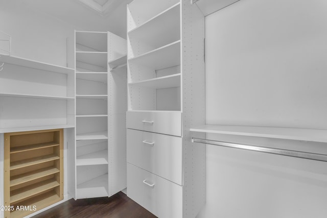 walk in closet featuring dark wood-style floors