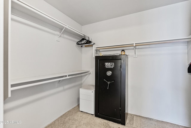 13438 N 130th Ln, El Mirage, AZ 85335 - walk in closet with light colored carpet