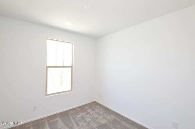 spare room featuring carpet and baseboards