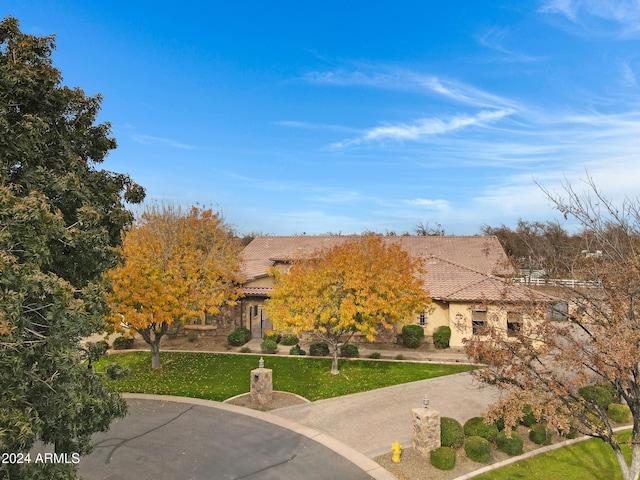 view of property hidden behind natural elements featuring driveway, a front lawn, a tile roof, and stucco siding